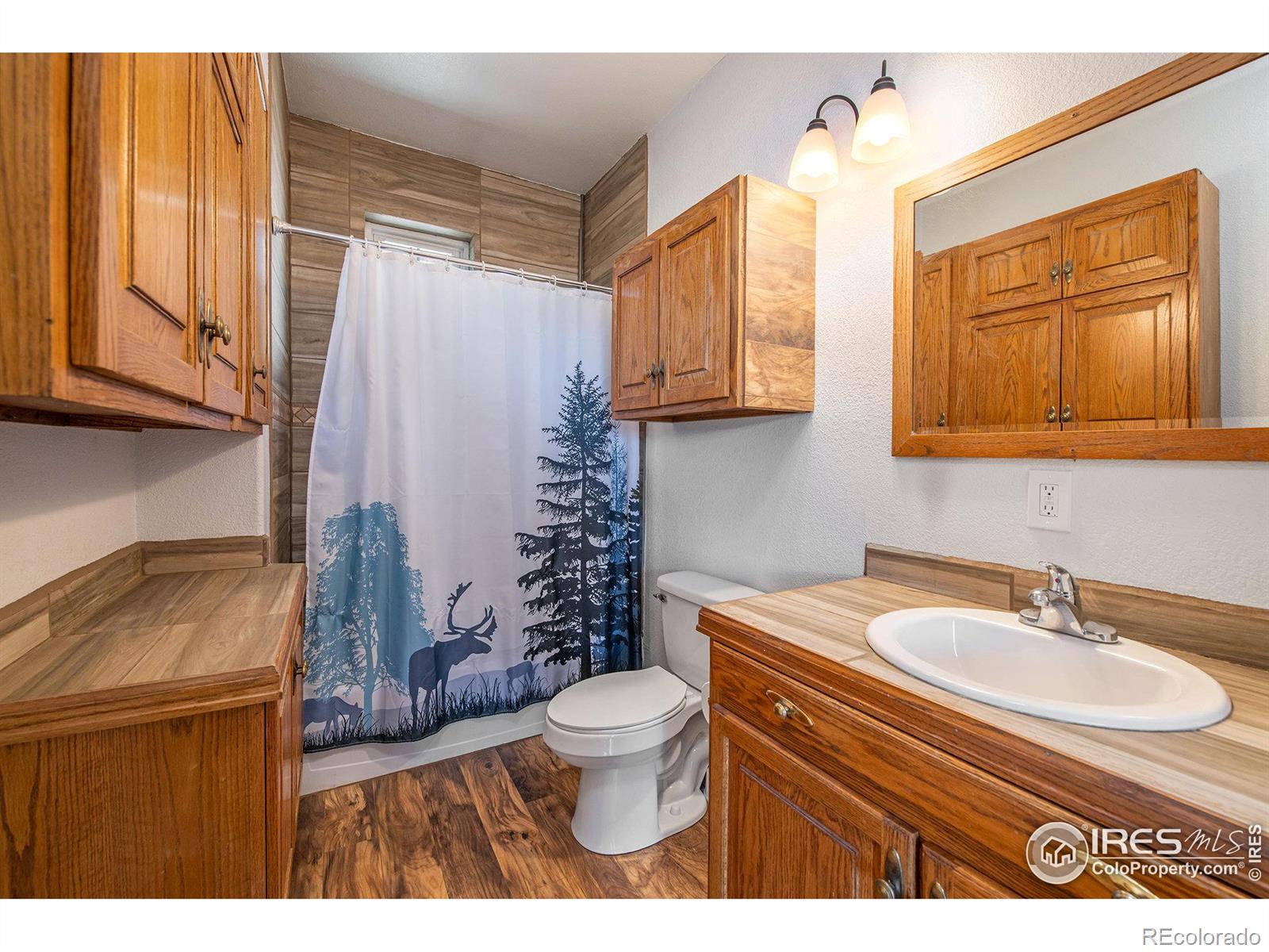 MLS Image #11 for 1368  dunraven glade road,glen haven, Colorado