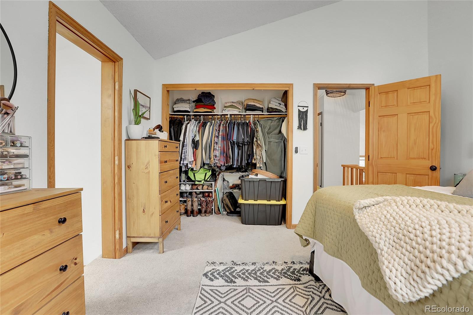 MLS Image #19 for 188  silver springs road,bailey, Colorado