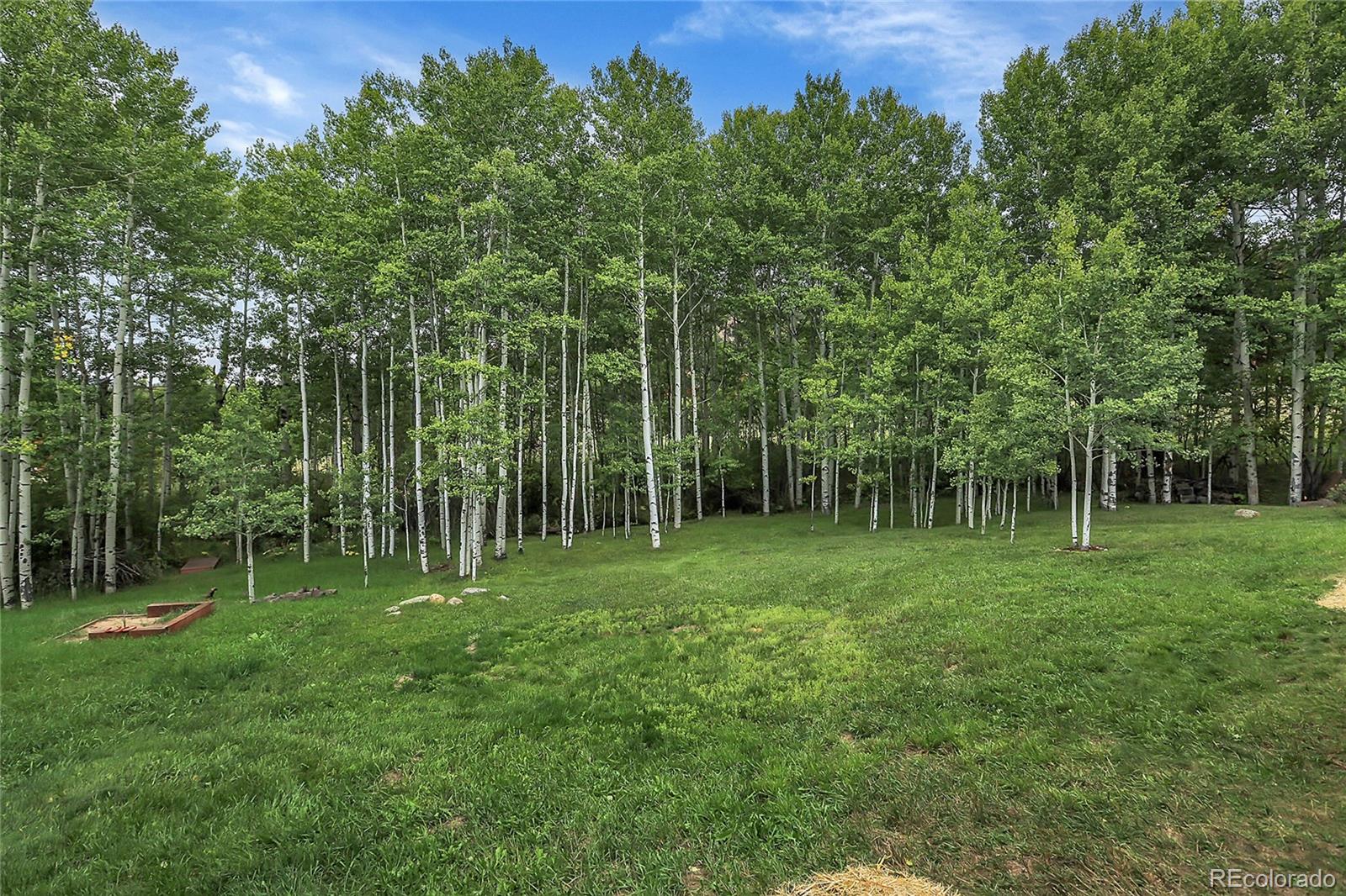 MLS Image #3 for 188  silver springs road,bailey, Colorado