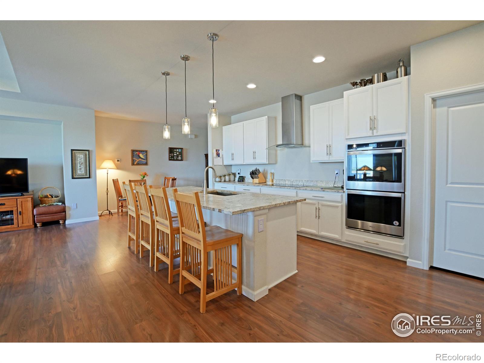 MLS Image #5 for 1681  shoreview parkway,severance, Colorado