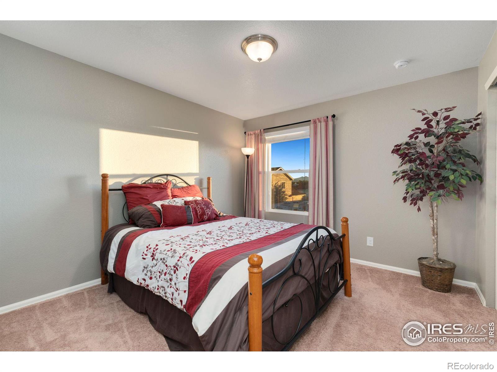 MLS Image #22 for 537  2nd street,severance, Colorado