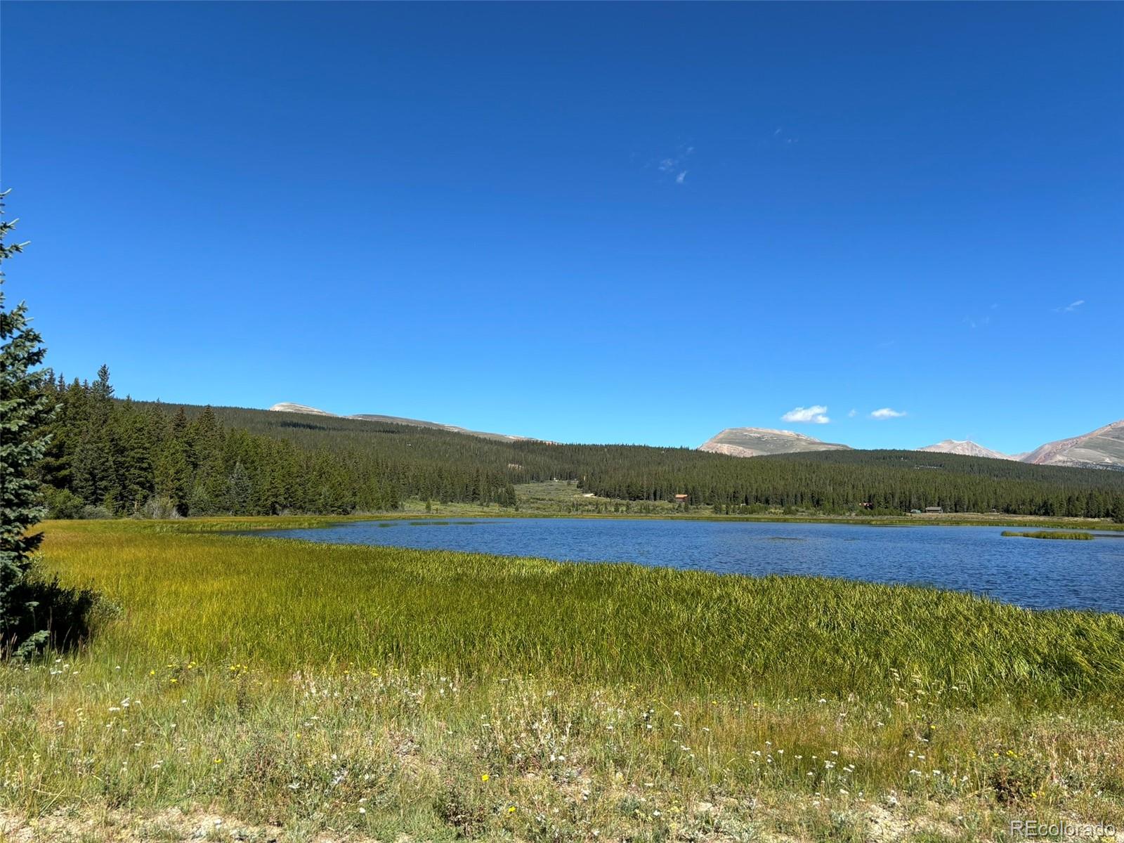 MLS Image #36 for 344  pond drive,fairplay, Colorado