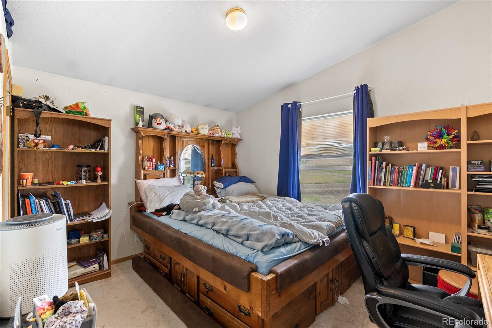 MLS Image #18 for 25947  snyder avenue,conifer, Colorado