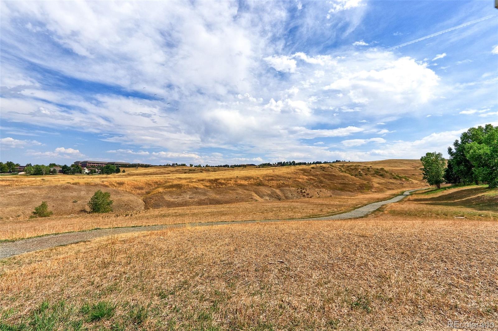 MLS Image #39 for 934  windom peak drive,superior, Colorado