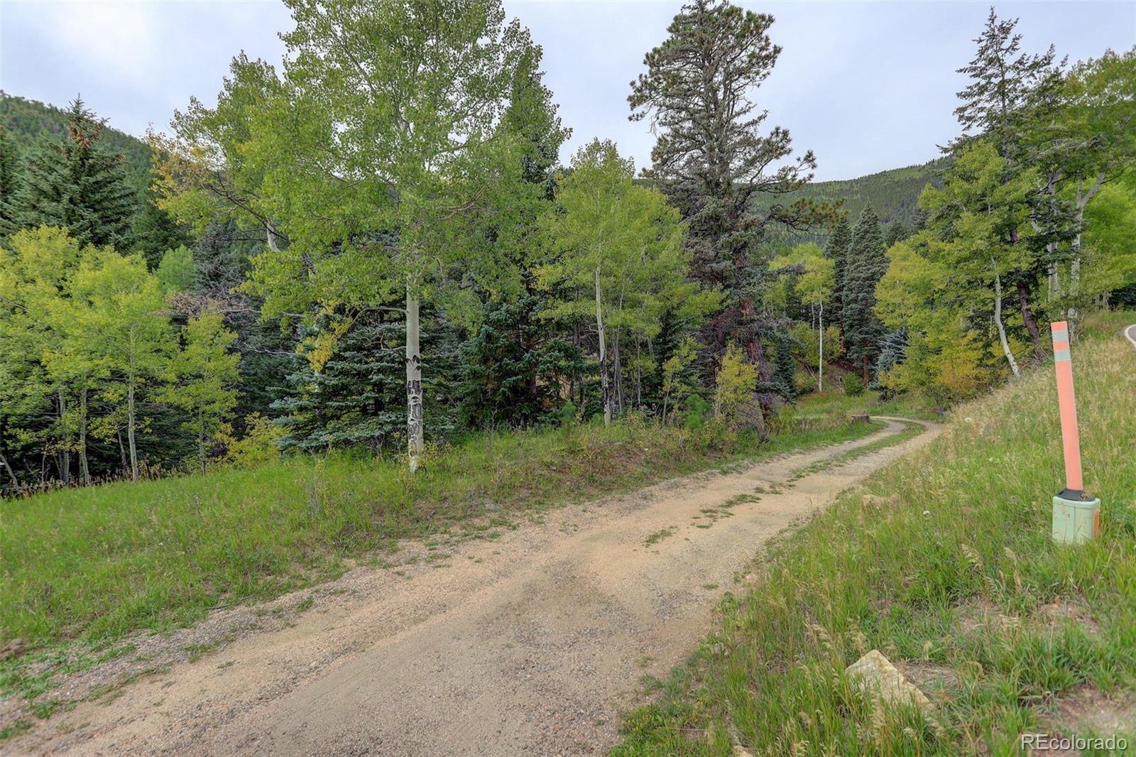 MLS Image #32 for 3241  witter gulch road,evergreen, Colorado