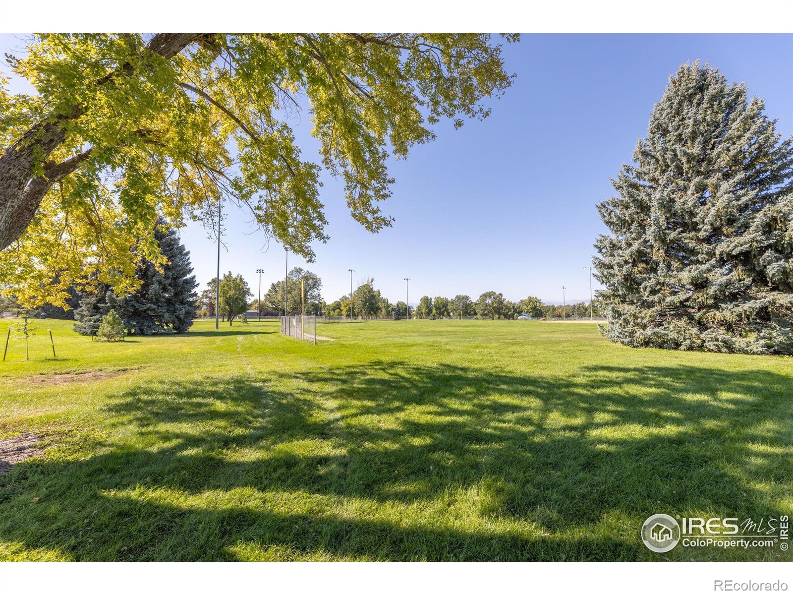 MLS Image #35 for 719  pendleton avenue,longmont, Colorado