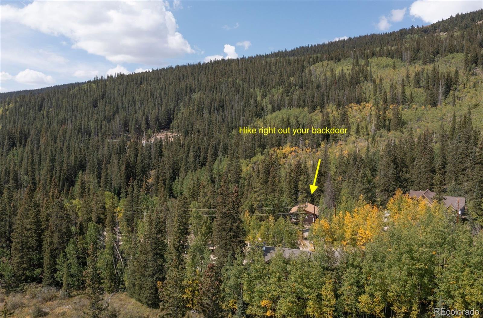 MLS Image #27 for 89  mine road,alma, Colorado