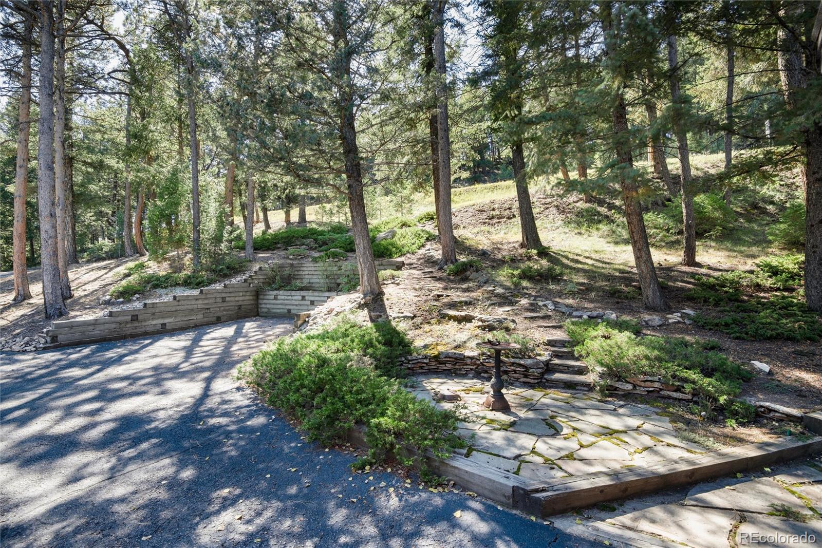 MLS Image #39 for 32963  deep forest road,evergreen, Colorado