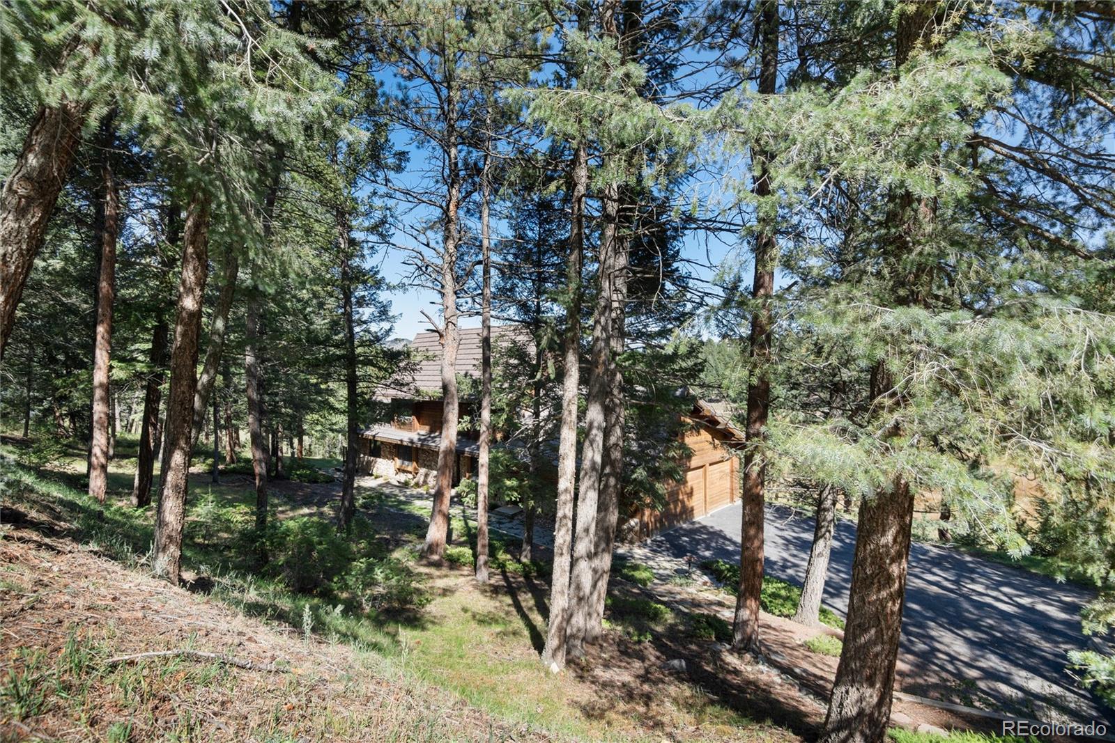 MLS Image #40 for 32963  deep forest road,evergreen, Colorado