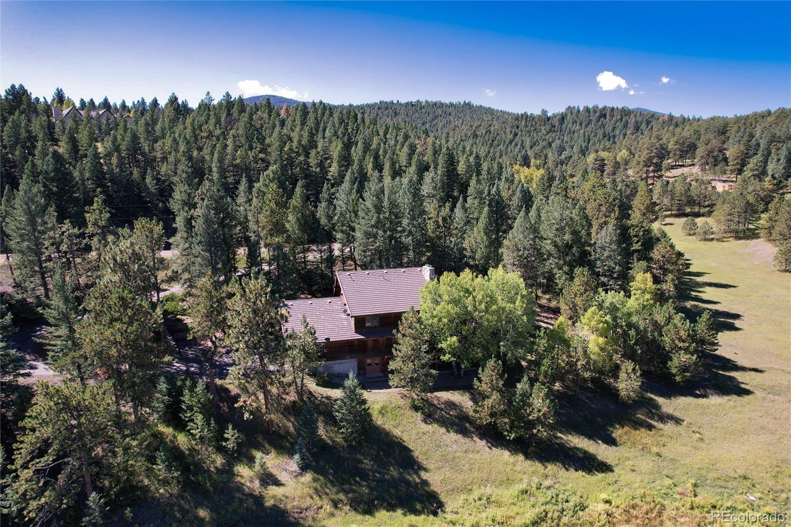 MLS Image #46 for 32963  deep forest road,evergreen, Colorado