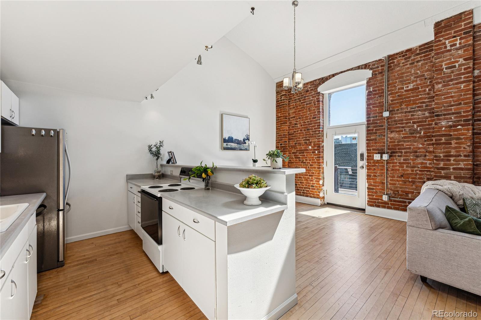 MLS Image #10 for 3233  osage street,denver, Colorado