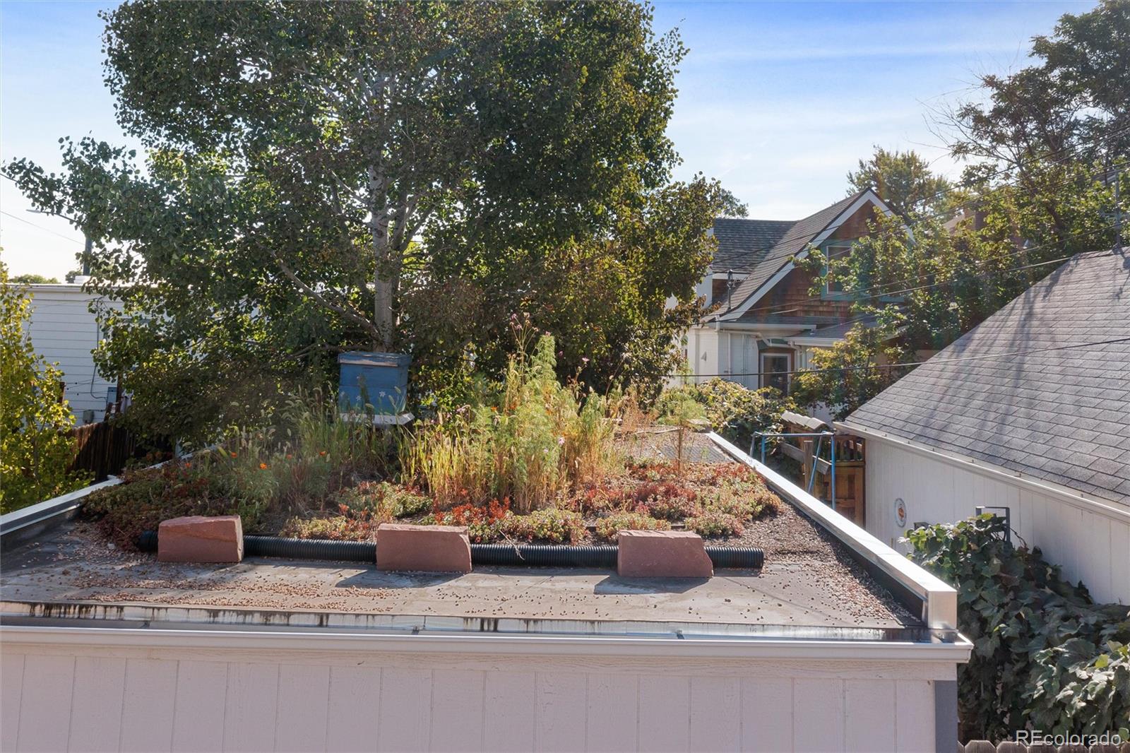 MLS Image #23 for 2553 n high street,denver, Colorado