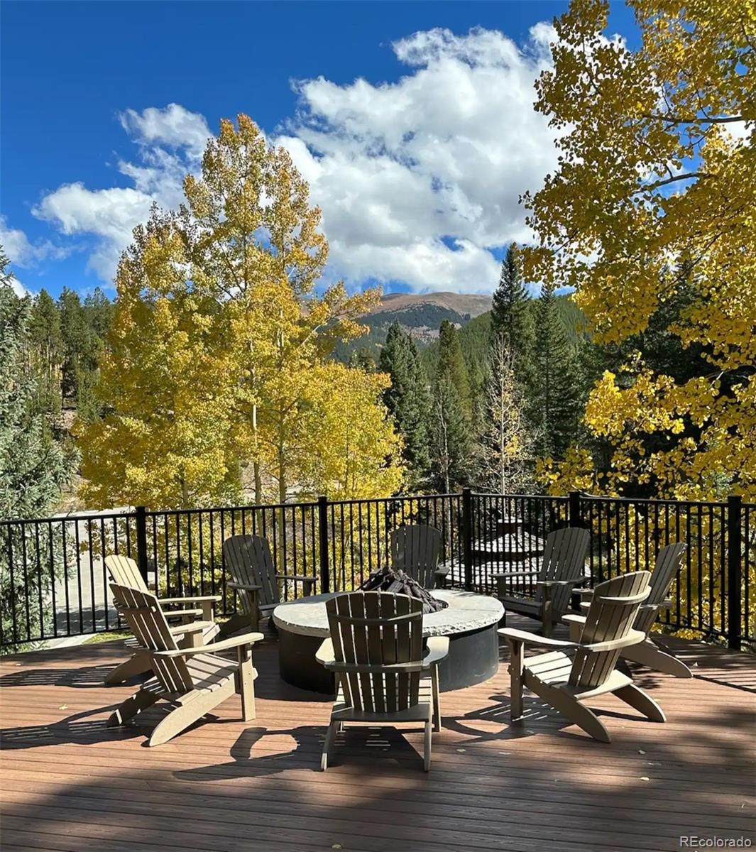 MLS Image #7 for 313  iron horse way,winter park, Colorado