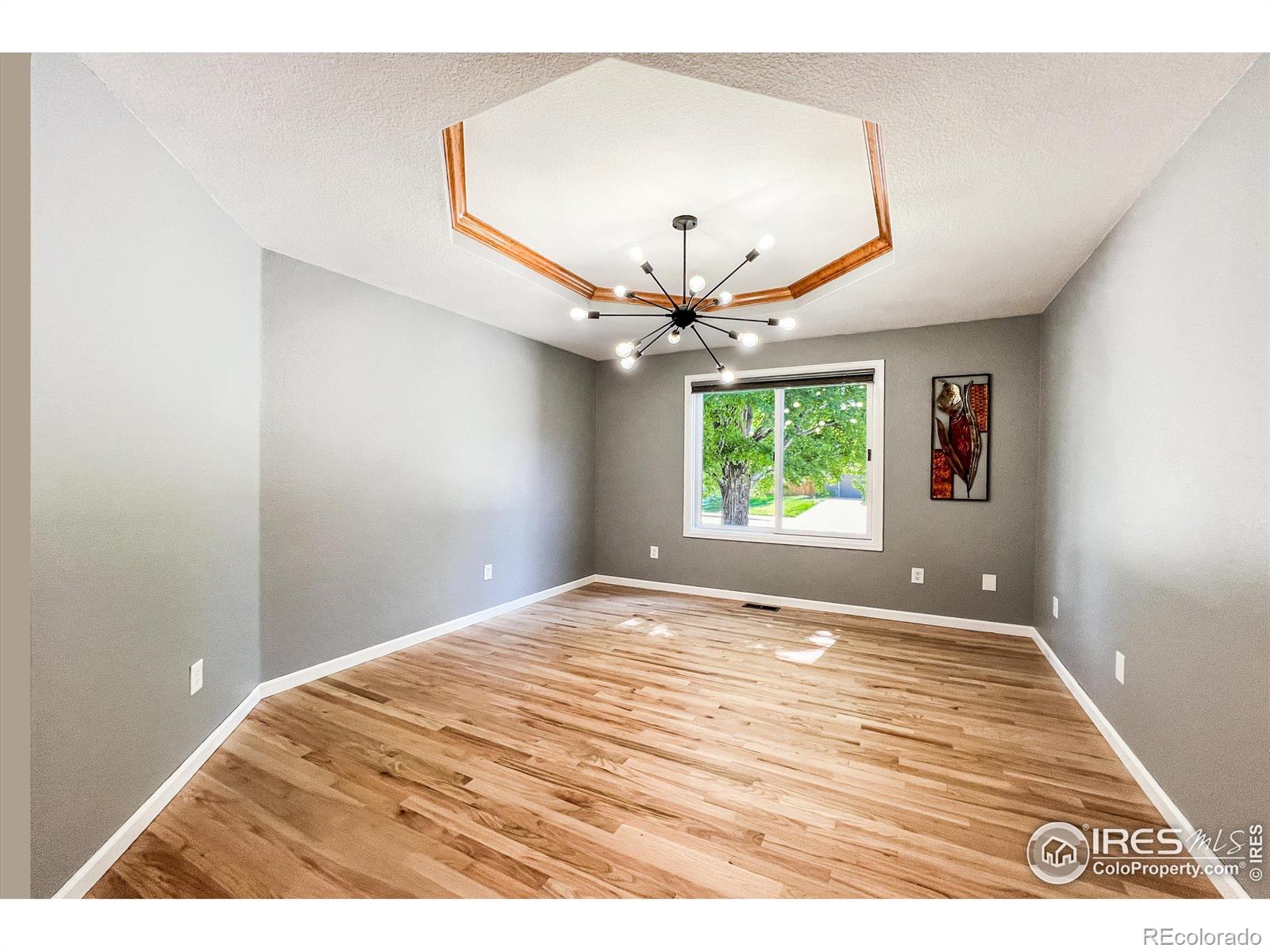 MLS Image #16 for 2233  barn swallow drive,longmont, Colorado