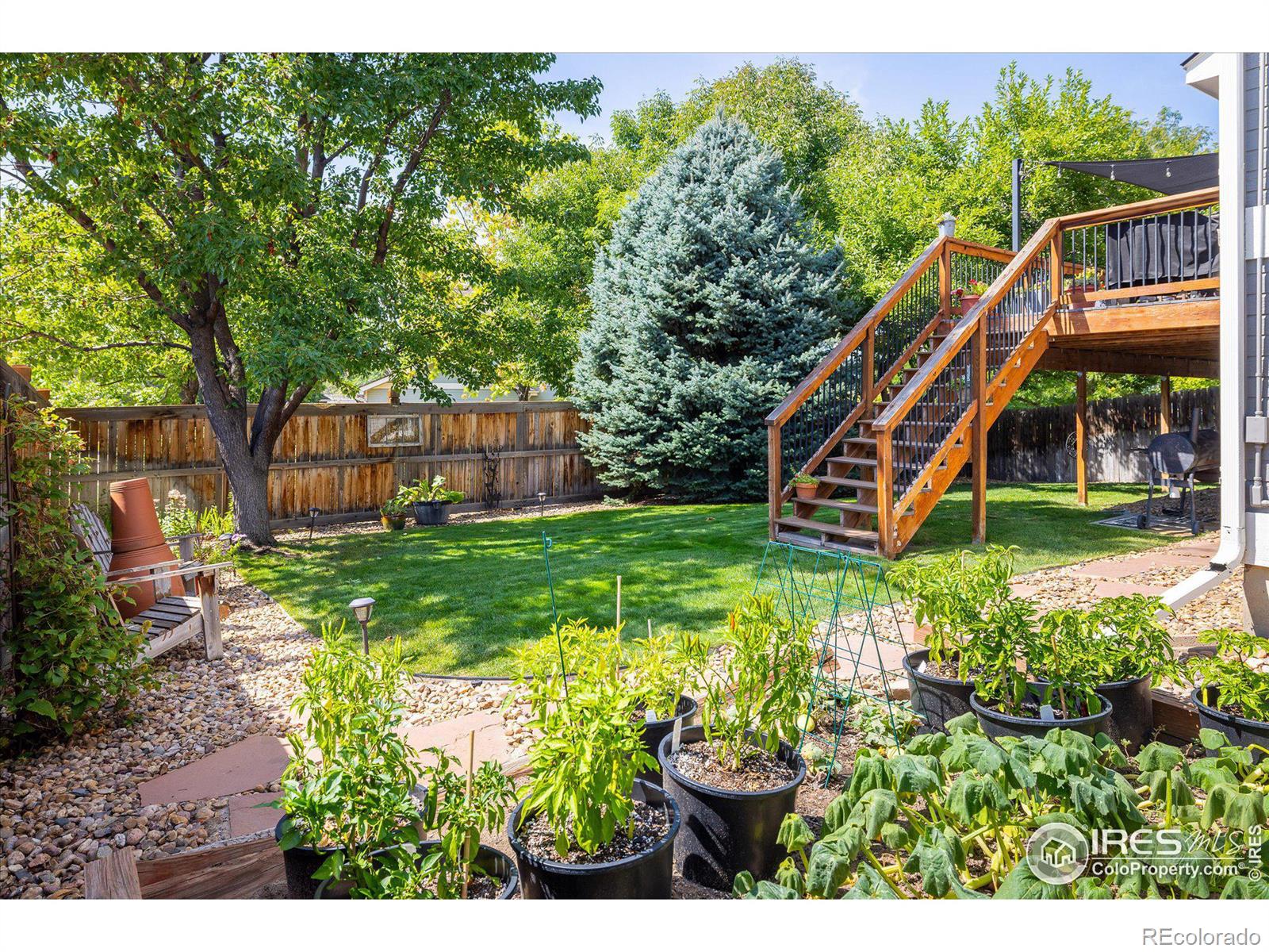 MLS Image #30 for 6469 w 96th drive,westminster, Colorado