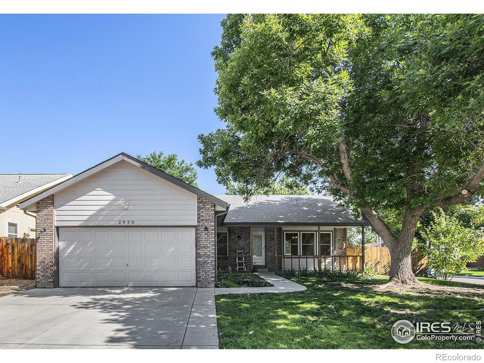 MLS Image #2 for 2950  querida street,fort collins, Colorado