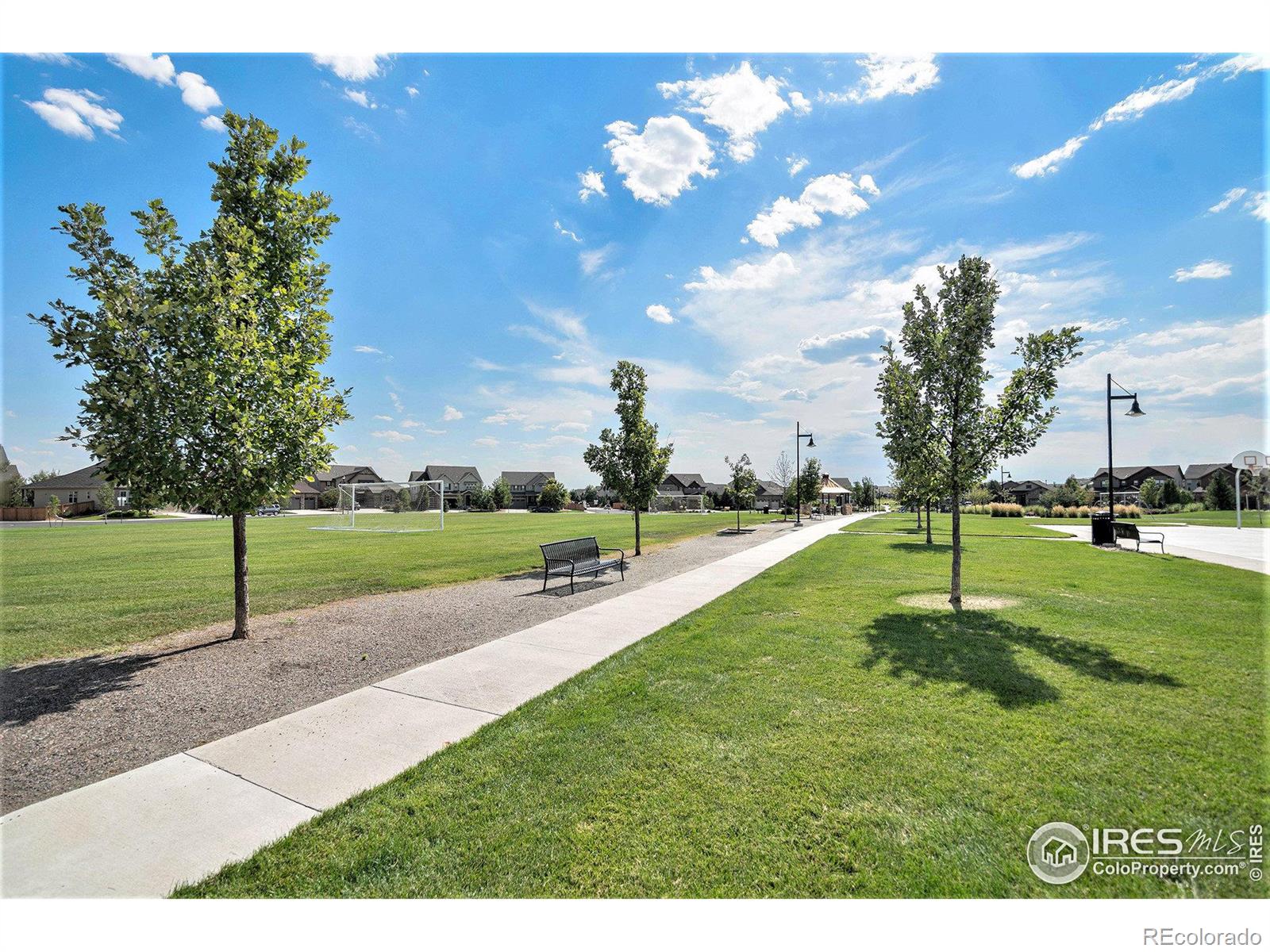 MLS Image #29 for 15915  st paul street,thornton, Colorado