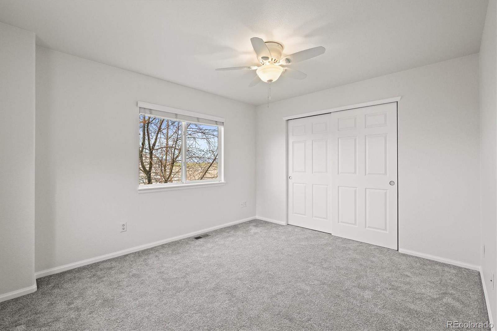 MLS Image #38 for 4625  wildgrass place,dacono, Colorado