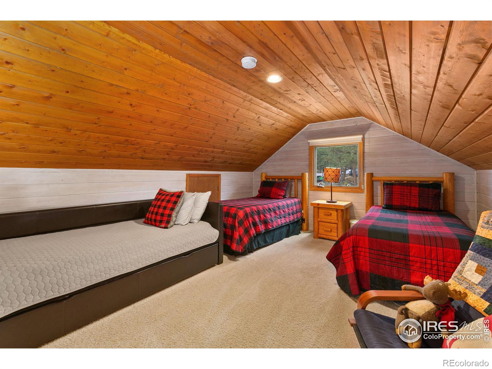 MLS Image #10 for 1307  alpenglow lane,estes park, Colorado