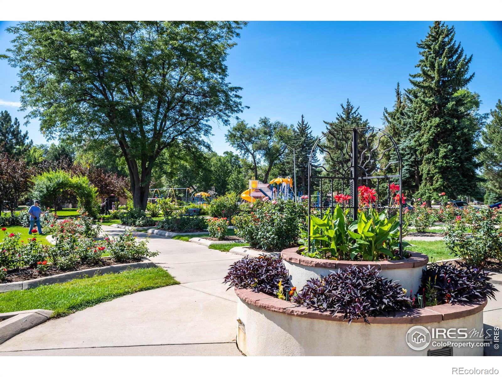 MLS Image #19 for 1012  coffman street,longmont, Colorado