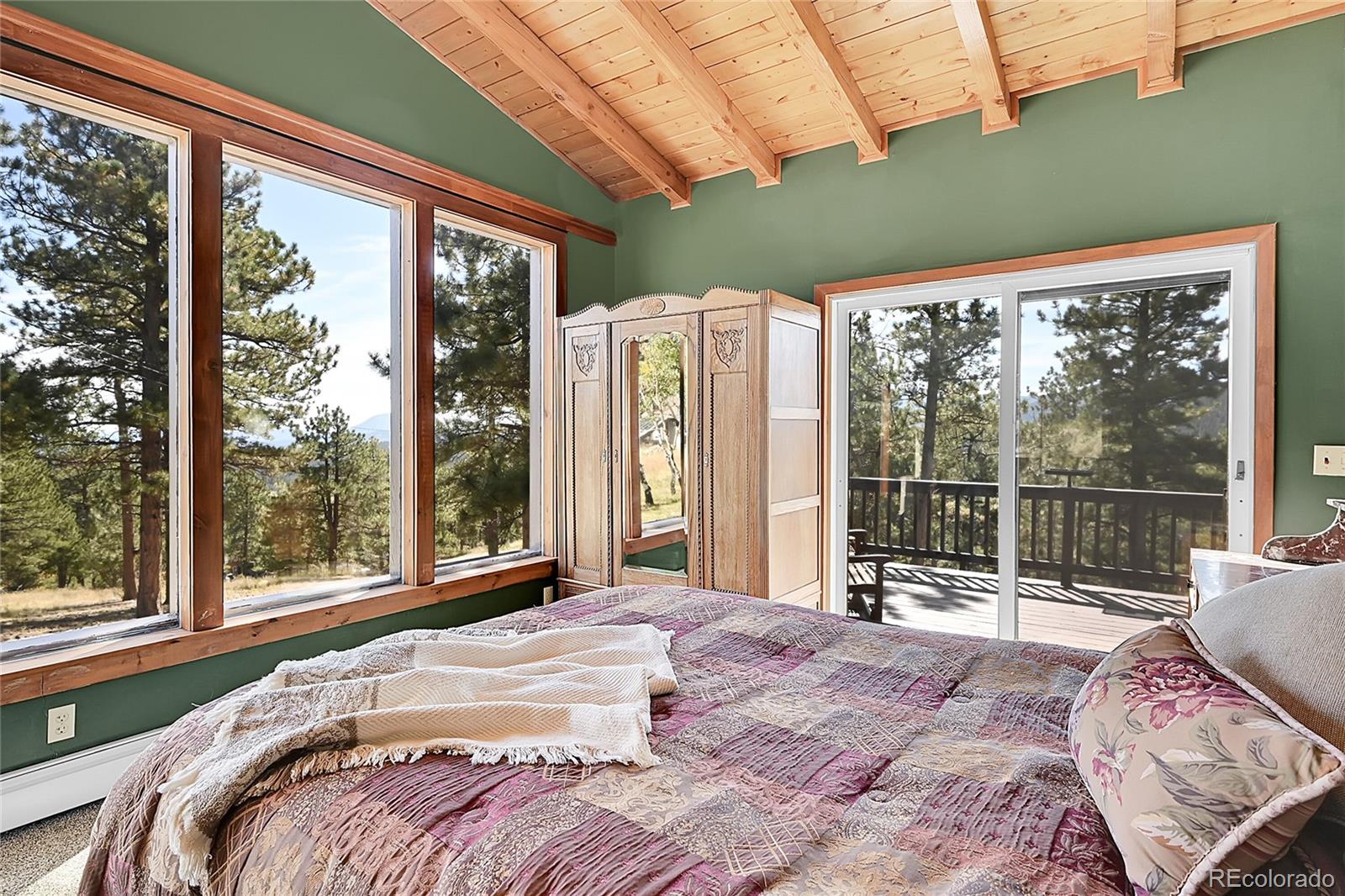 MLS Image #14 for 522  overlook drive,bailey, Colorado