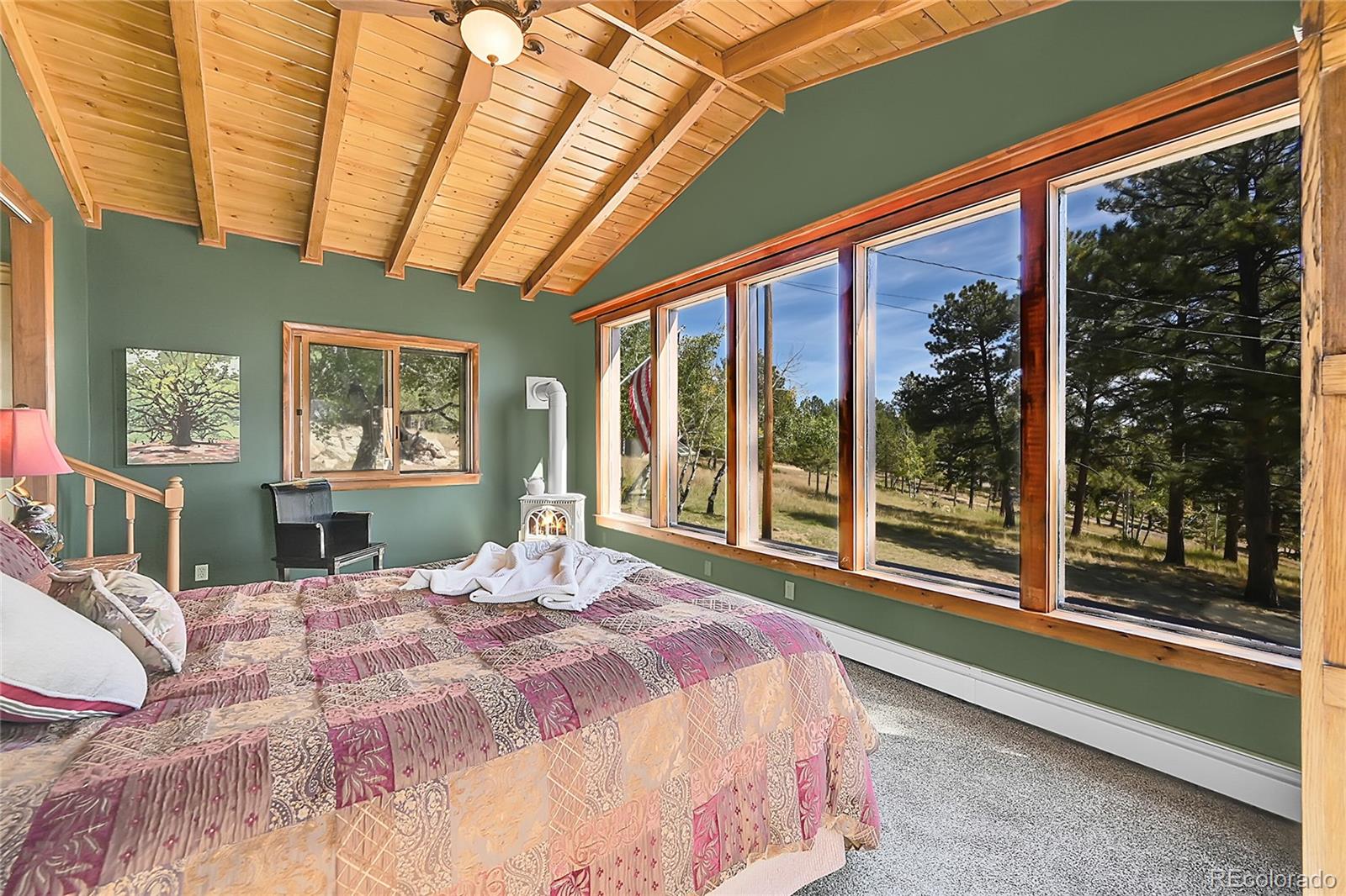 MLS Image #15 for 522  overlook drive,bailey, Colorado