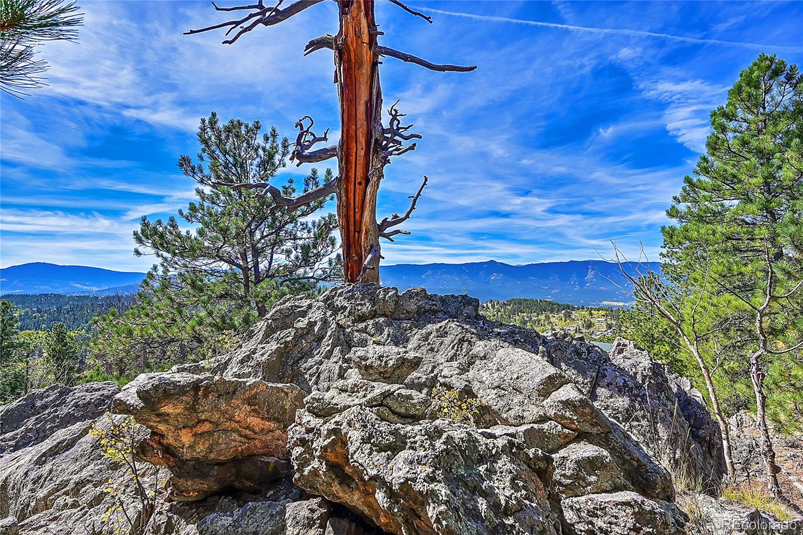 MLS Image #32 for 522  overlook drive,bailey, Colorado