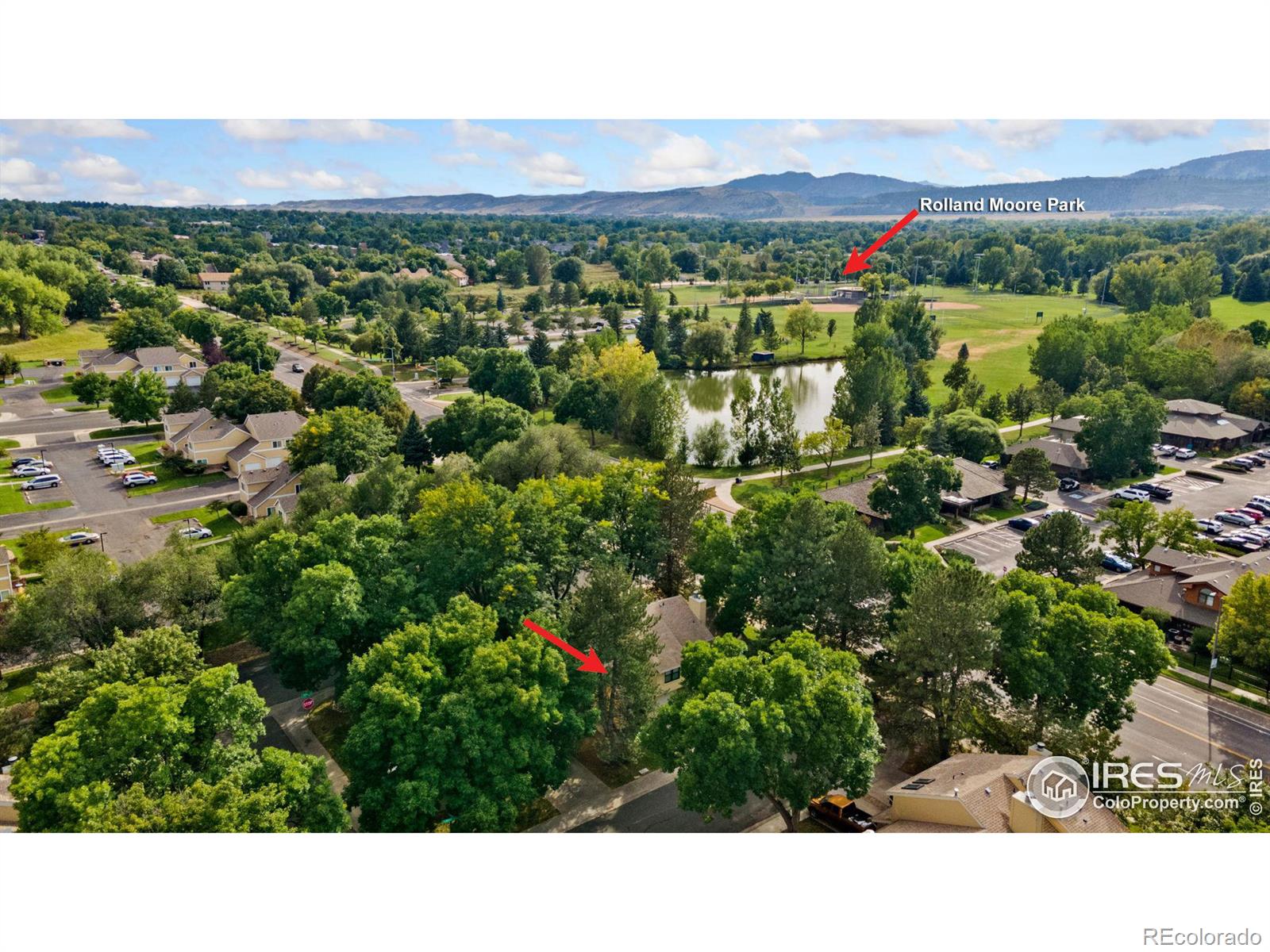 Report Image for 1085  Sundering Drive,Fort Collins, Colorado