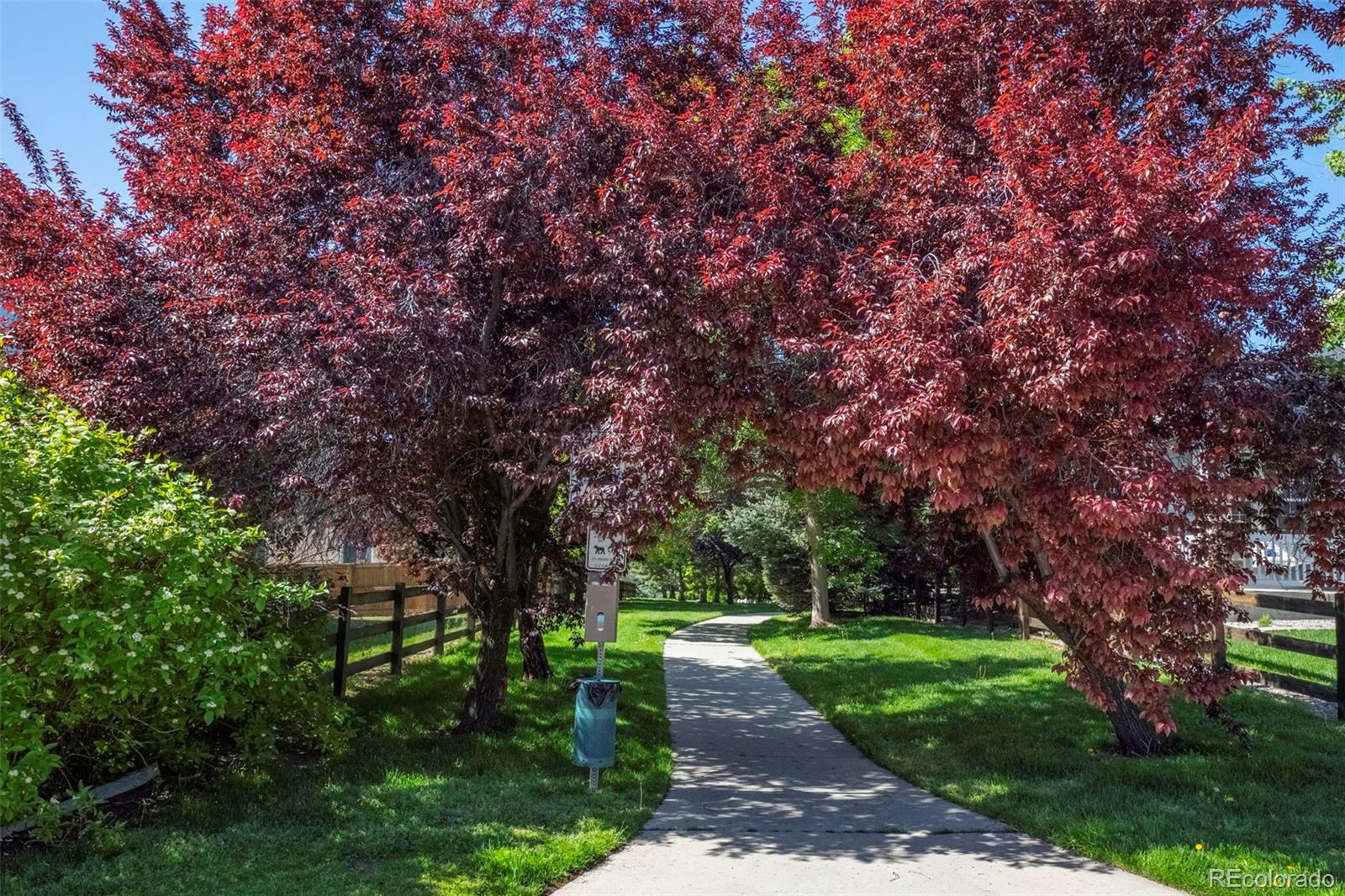 MLS Image #45 for 11756  ashton road,longmont, Colorado