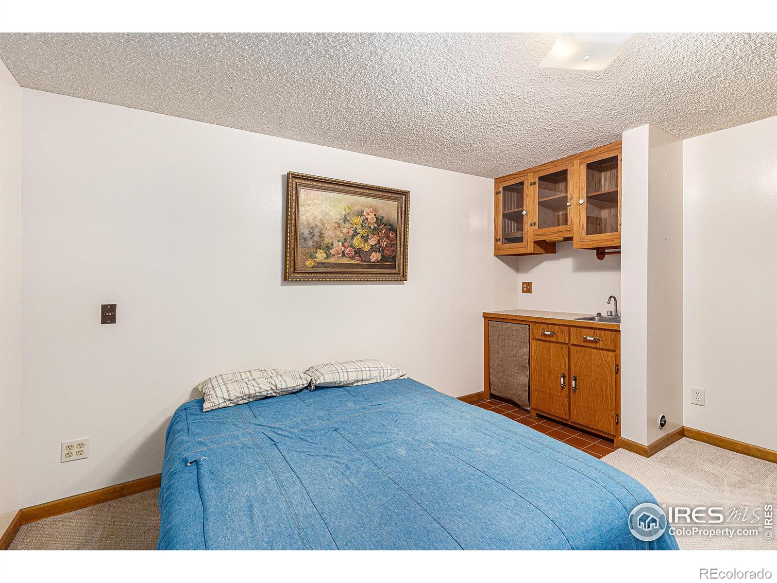 MLS Image #20 for 1608 s del norte avenue,loveland, Colorado