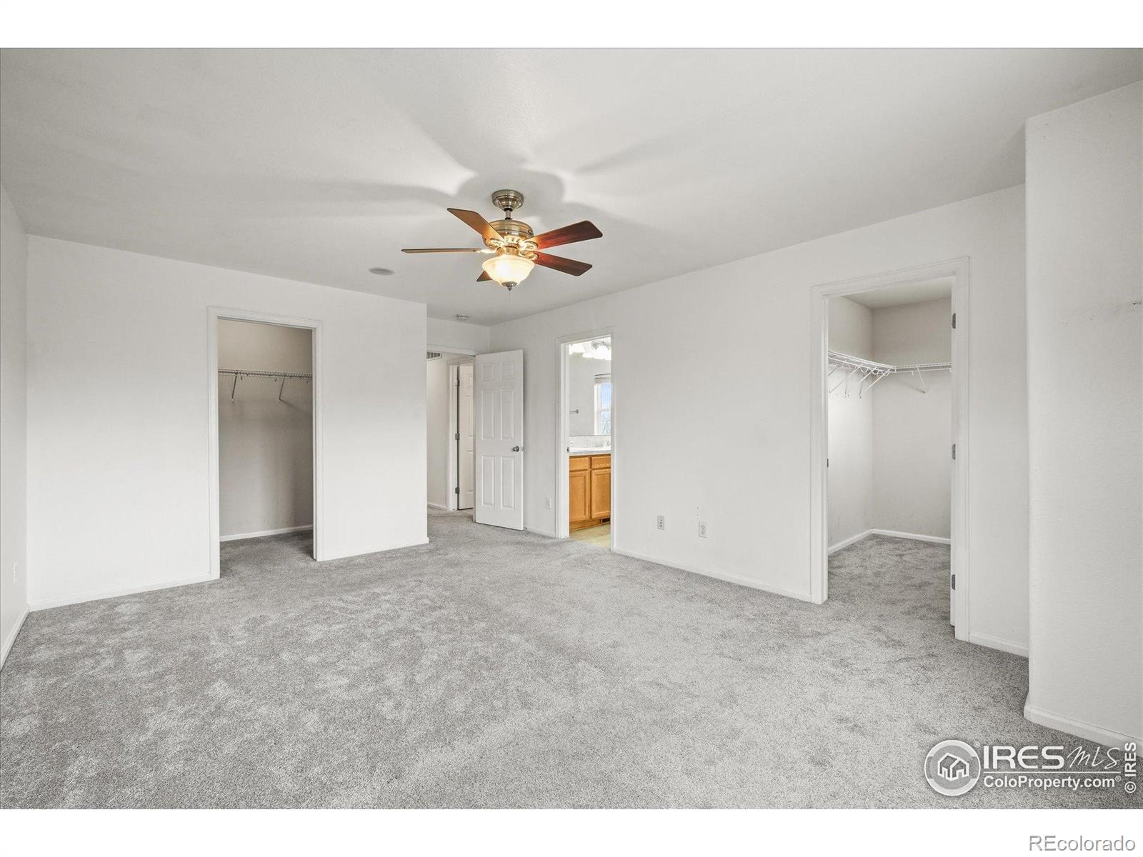 MLS Image #25 for 4625  wildgrass place,dacono, Colorado