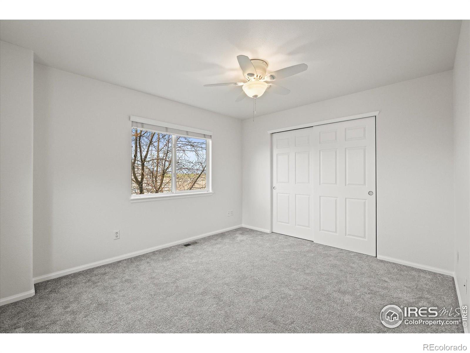 MLS Image #36 for 4625  wildgrass place,dacono, Colorado