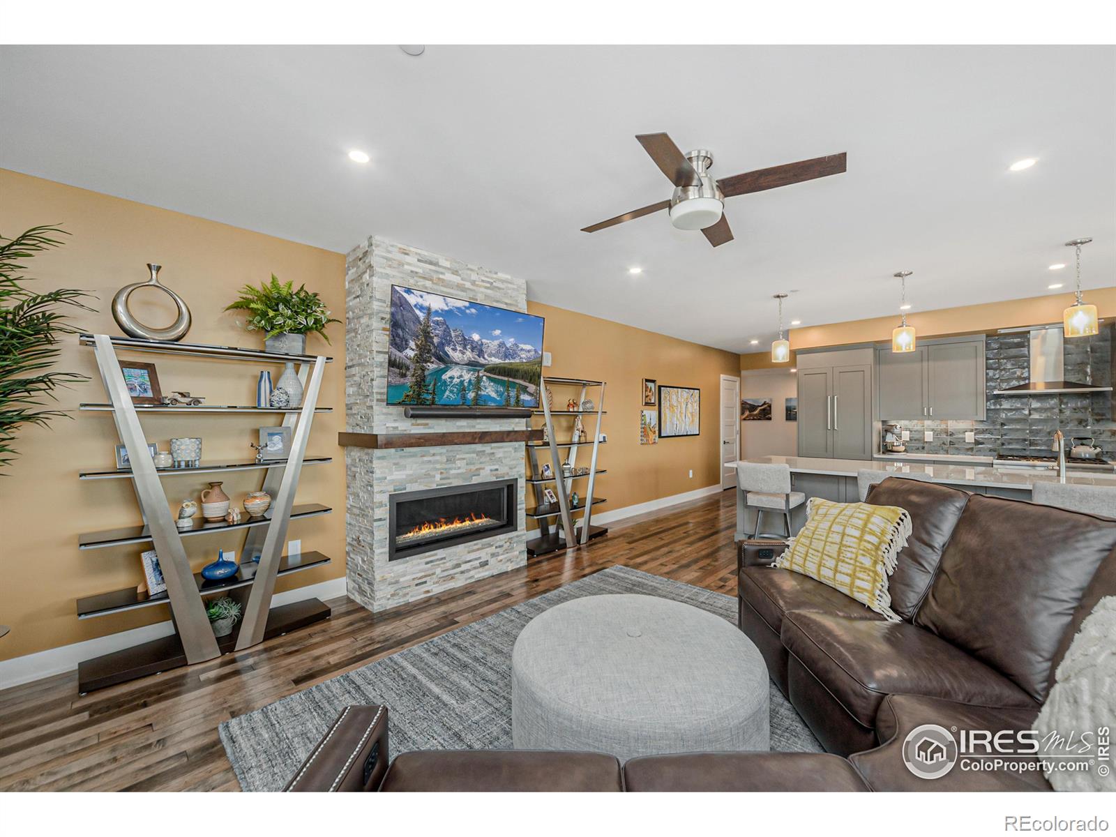MLS Image #20 for 221 e mountain avenue,fort collins, Colorado