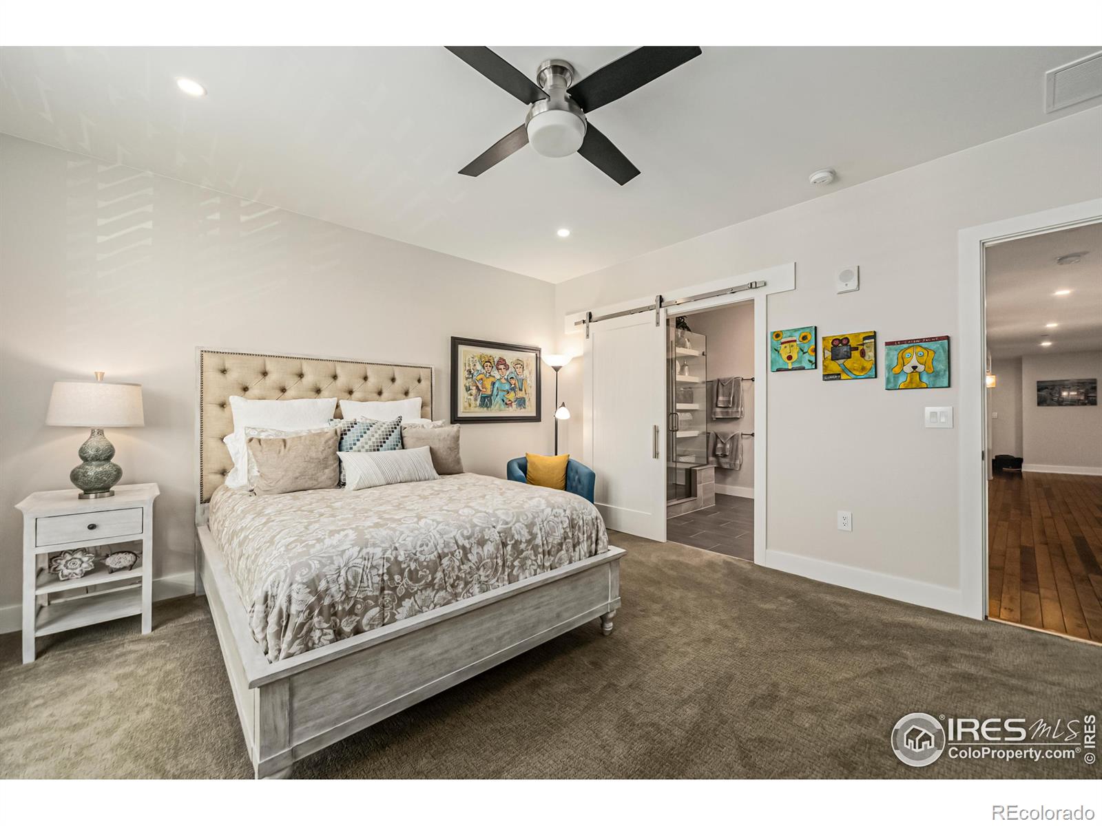 MLS Image #29 for 221 e mountain avenue,fort collins, Colorado