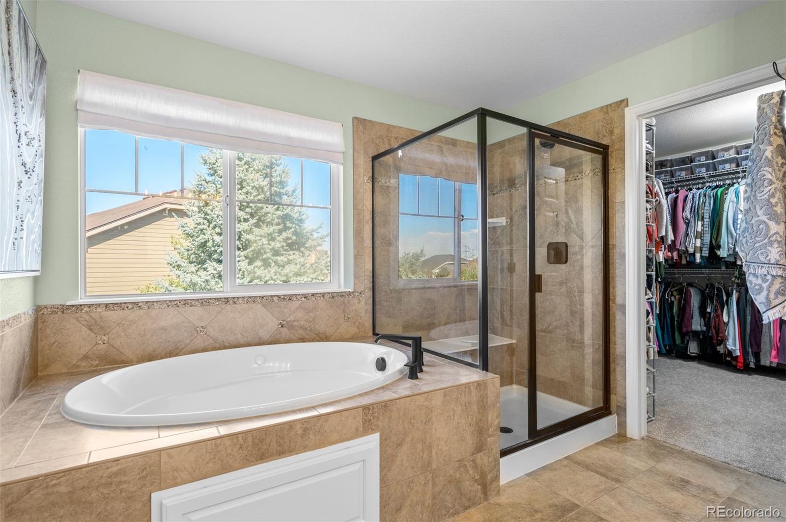 MLS Image #22 for 11662 s maiden hair way,parker, Colorado