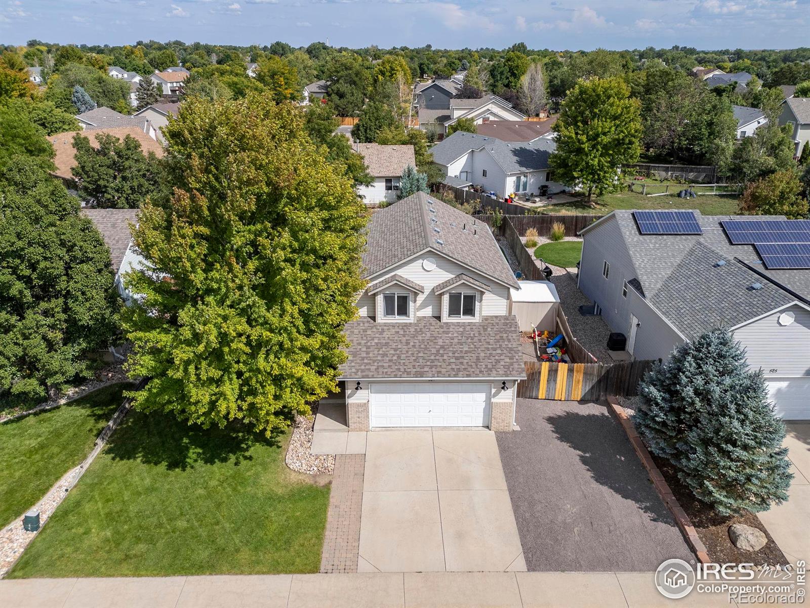 MLS Image #4 for 521  springwood court,windsor, Colorado