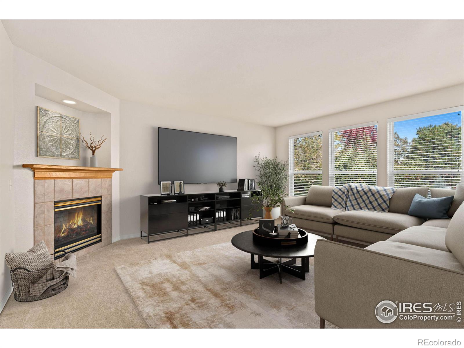 MLS Image #14 for 1726  globe court,fort collins, Colorado