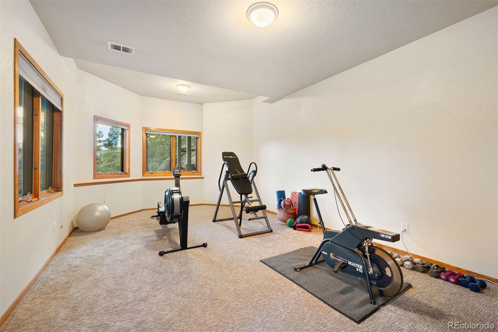 MLS Image #35 for 4275  stonecliff drive,evergreen, Colorado