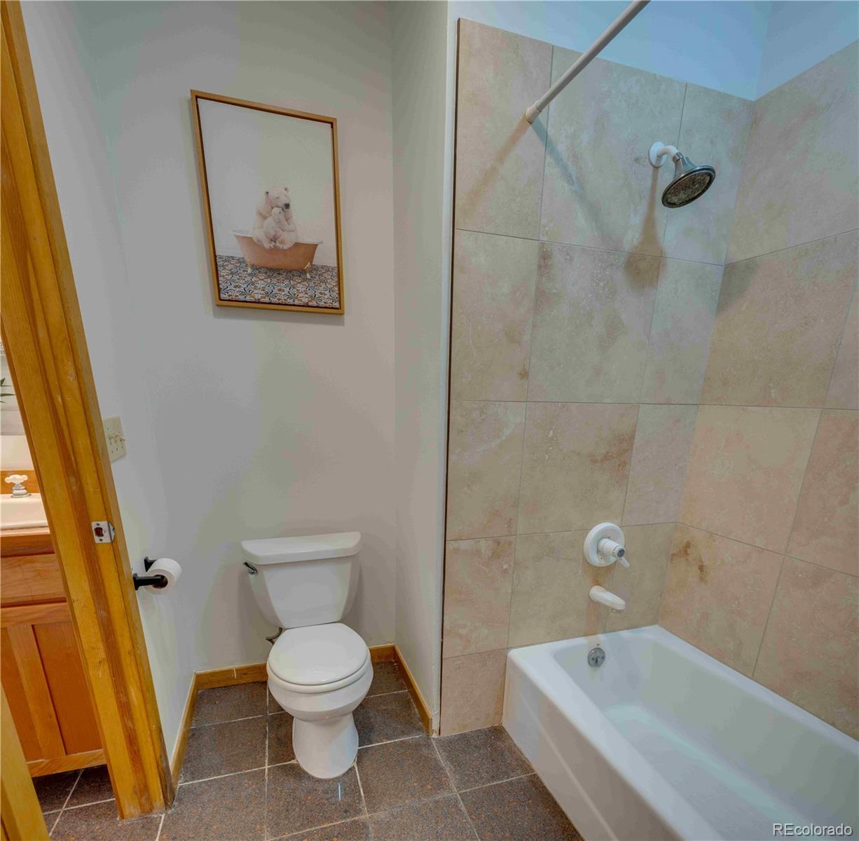 MLS Image #21 for 746  edgewood road,alma, Colorado