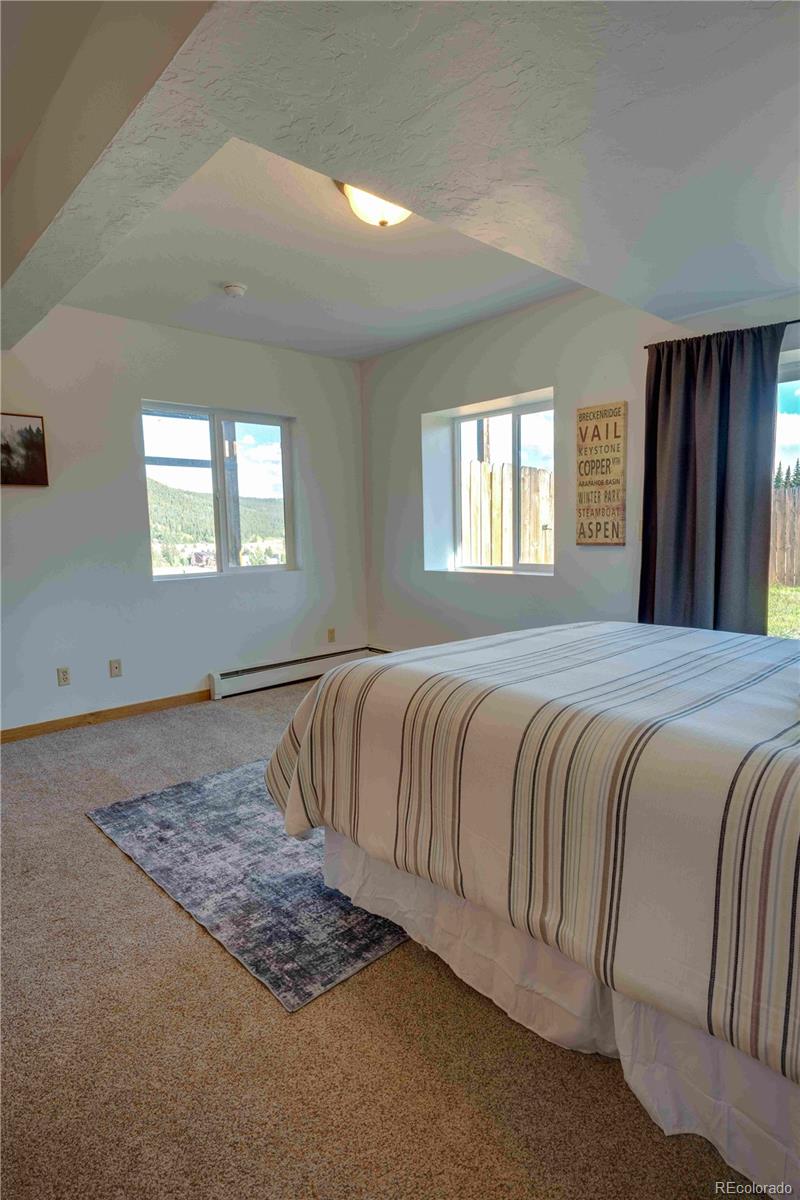 MLS Image #26 for 746  edgewood road,alma, Colorado