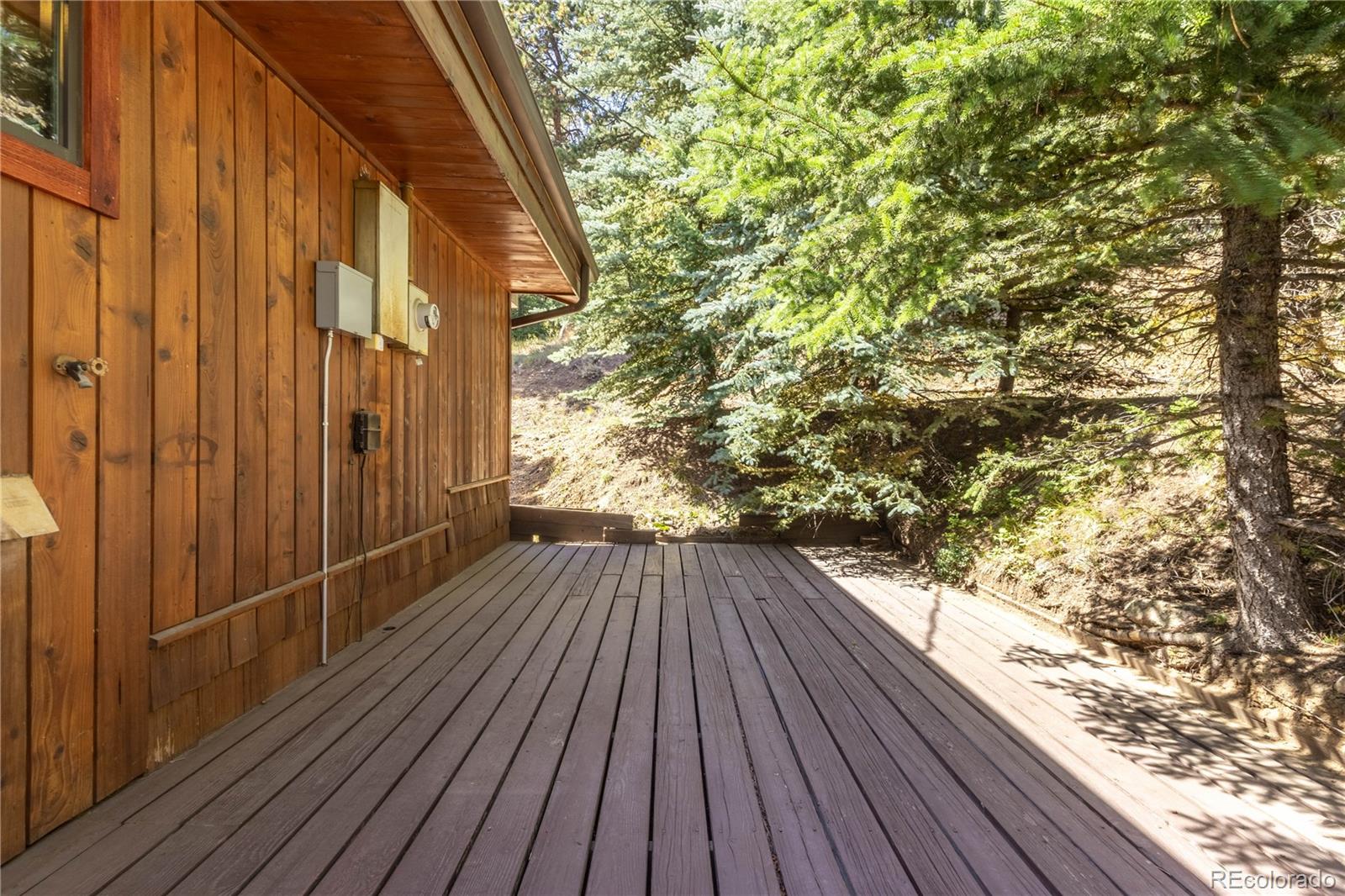 MLS Image #45 for 11943  geronimo trail,conifer, Colorado