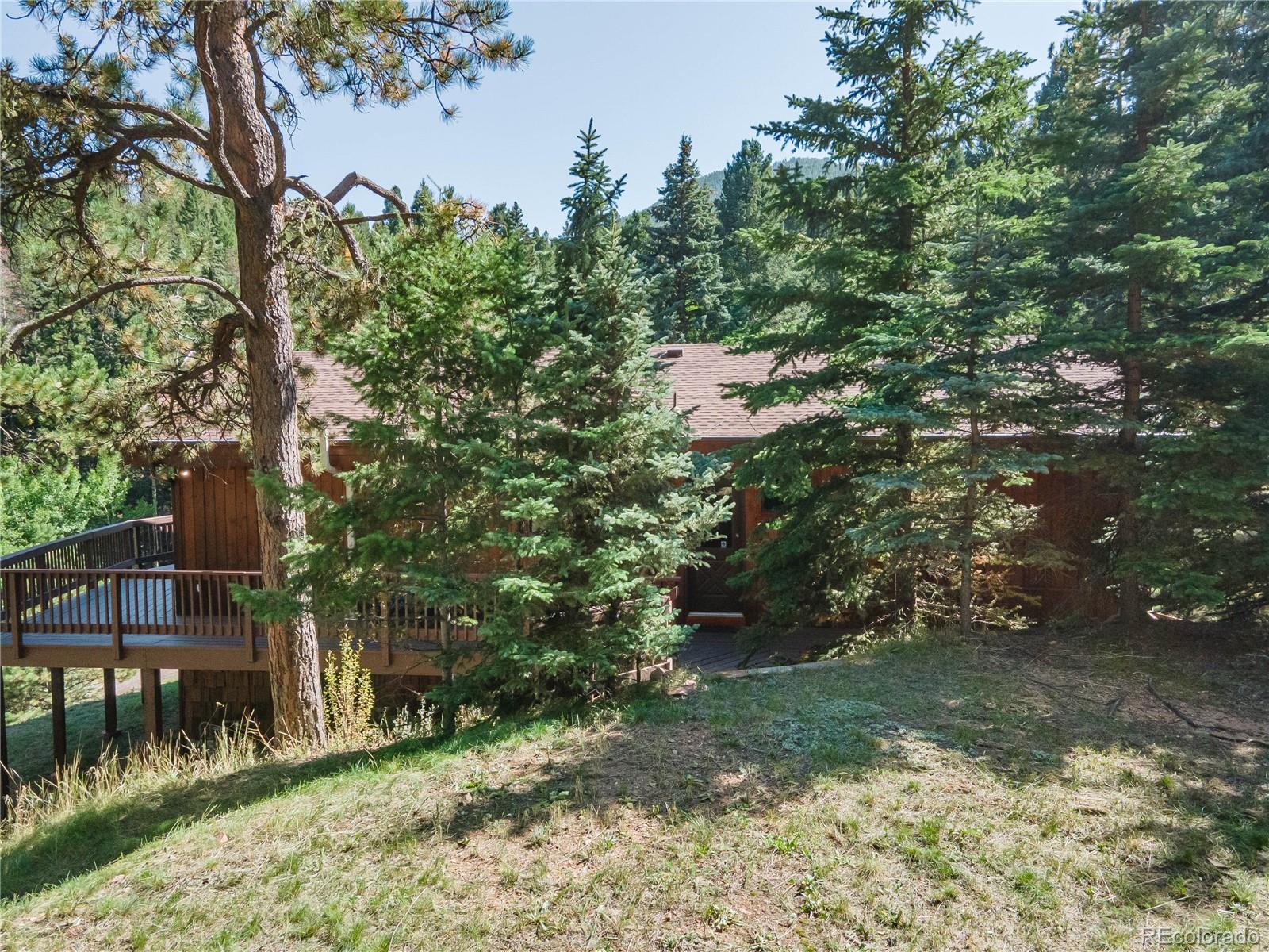 MLS Image #46 for 11943  geronimo trail,conifer, Colorado