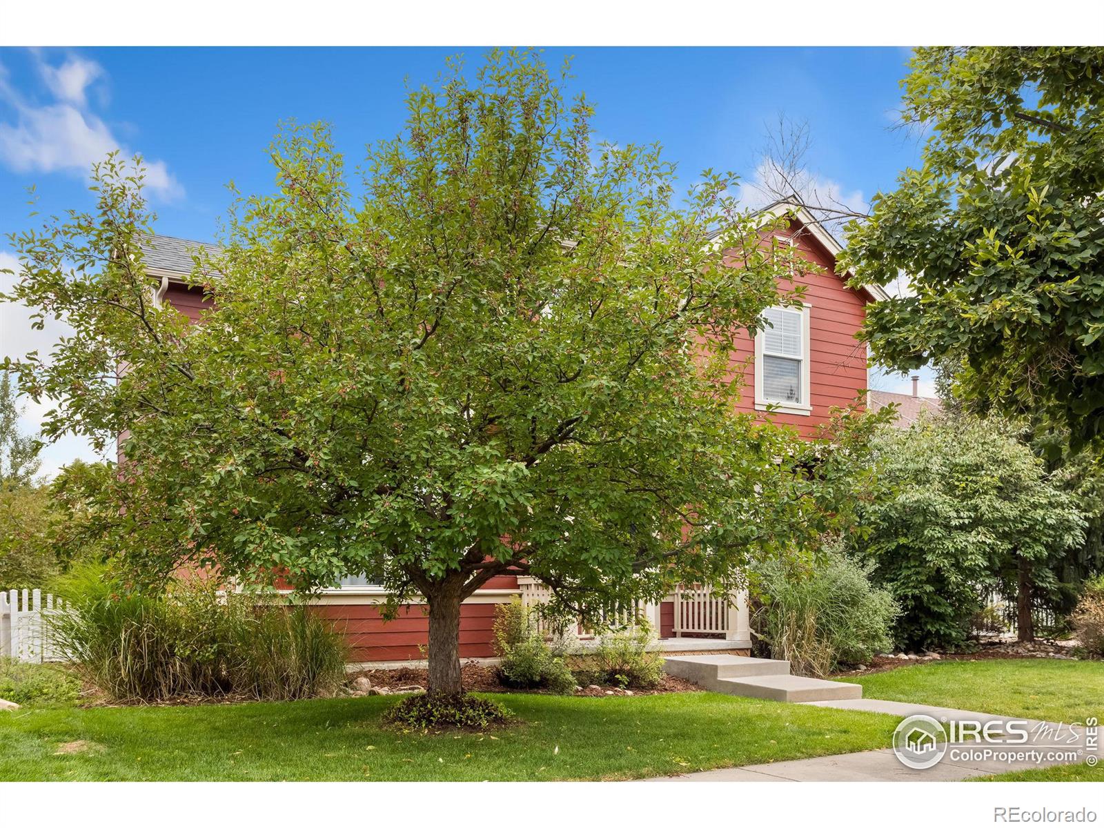 MLS Image #39 for 2939  ruff way,fort collins, Colorado