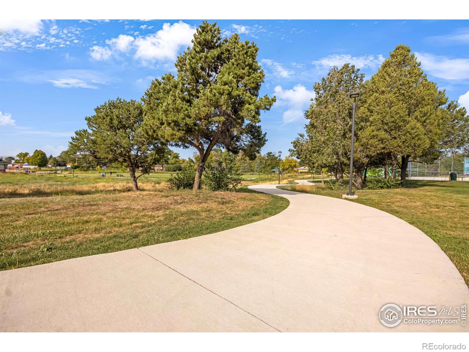 MLS Image #32 for 6591  saulsbury court,arvada, Colorado