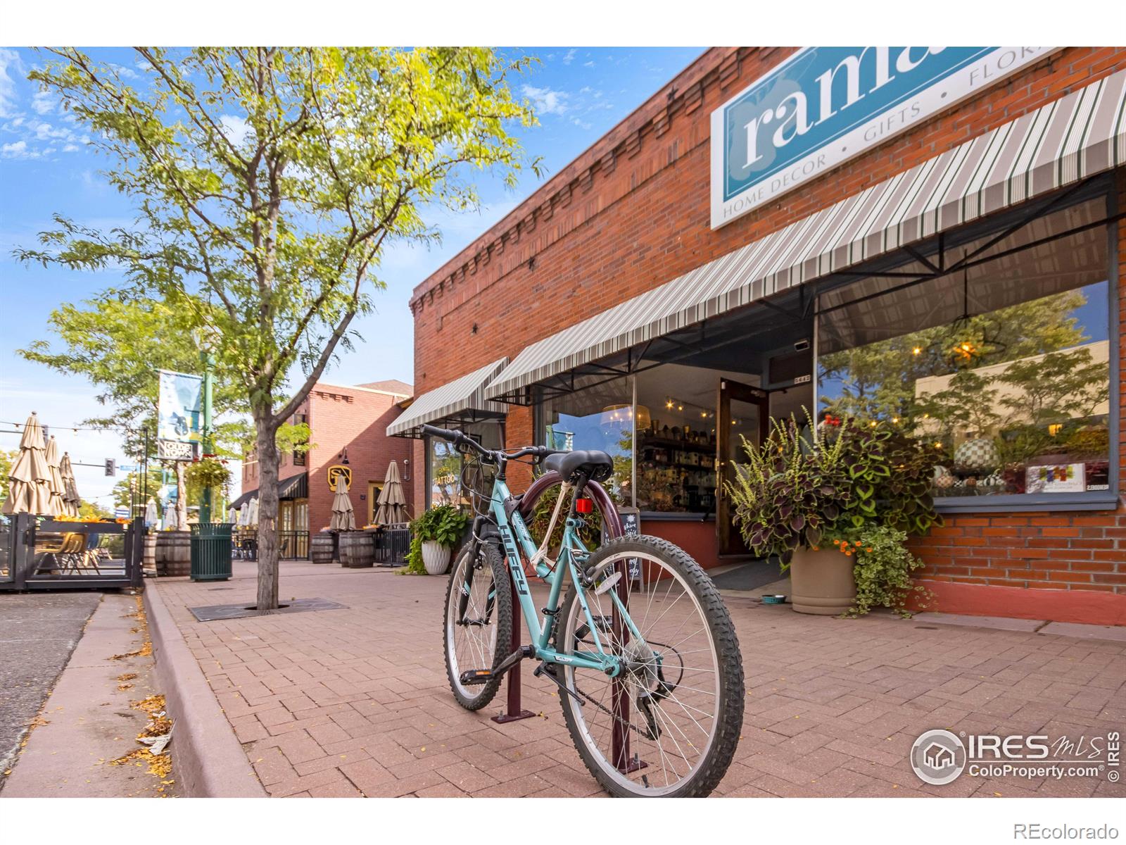 MLS Image #37 for 6591  saulsbury court,arvada, Colorado