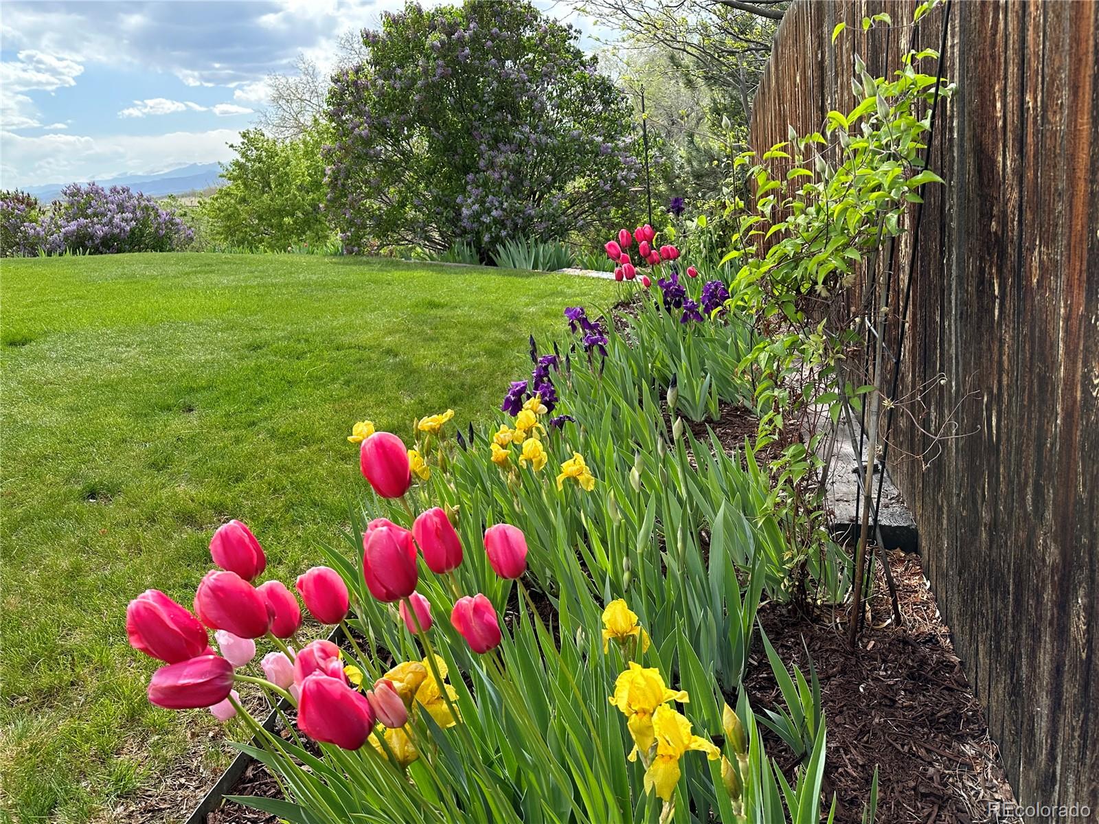 MLS Image #46 for 1187 w 126th court,westminster, Colorado