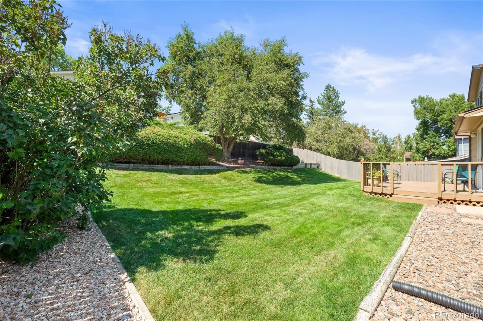 MLS Image #28 for 7515  kendall street,arvada, Colorado