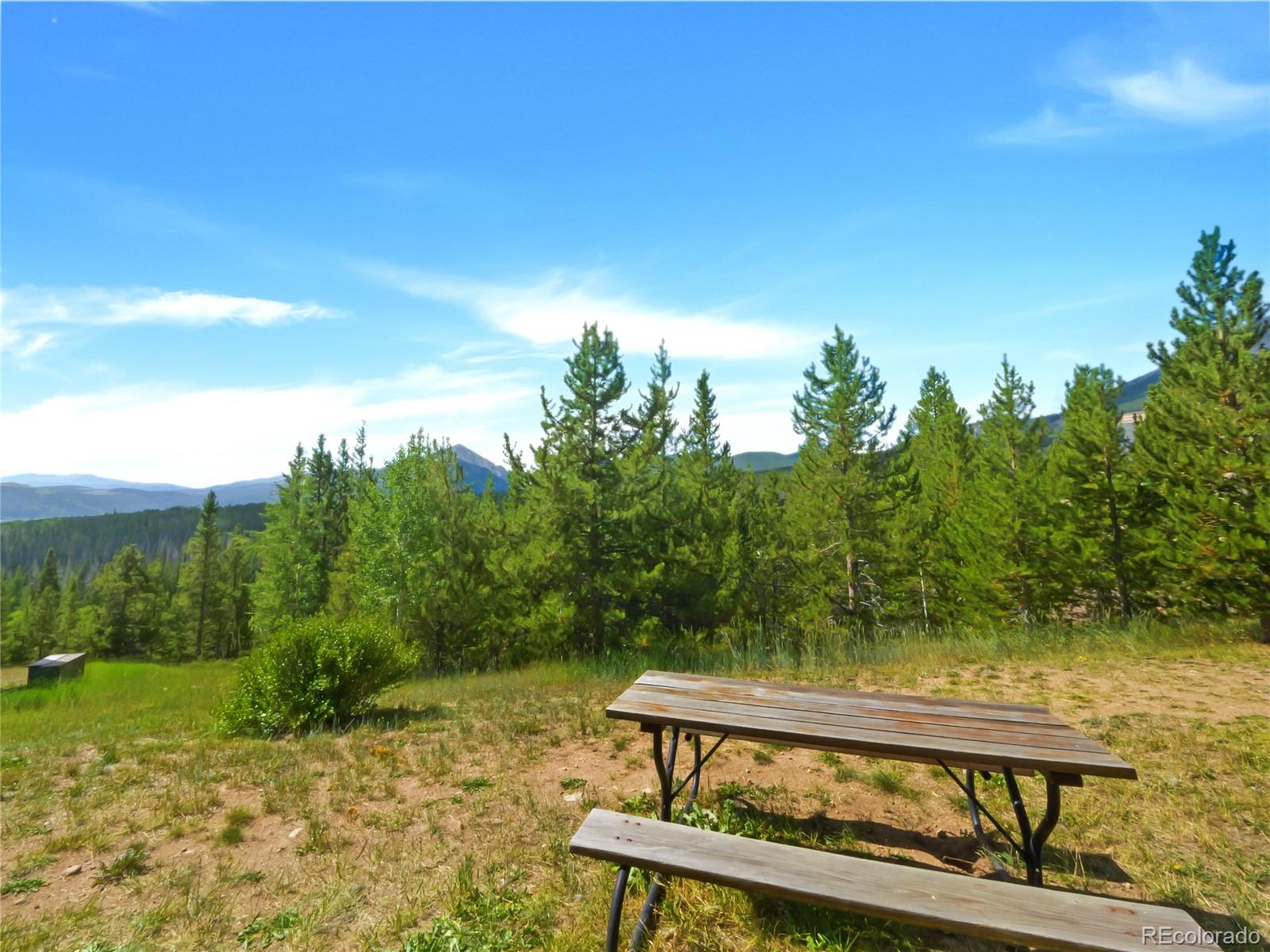 MLS Image #3 for 9490  ryan gulch road,silverthorne, Colorado