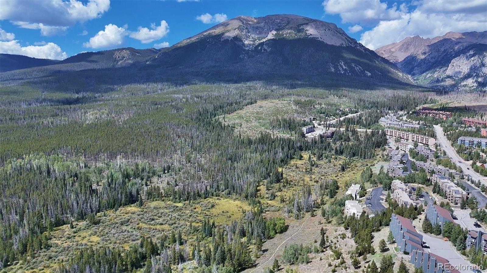 MLS Image #41 for 9490  ryan gulch road,silverthorne, Colorado