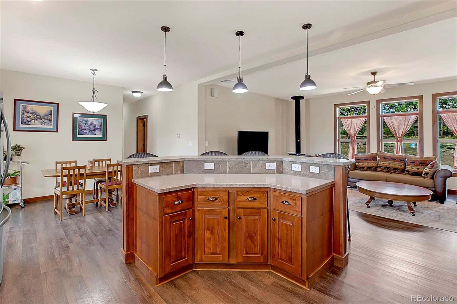 MLS Image #12 for 496  julia road,guffey, Colorado